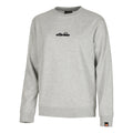 grigio chiaro_5693