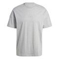 All SZN Maglietta Uomini - grigio,