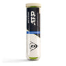 ATP Championship Tubo da 4