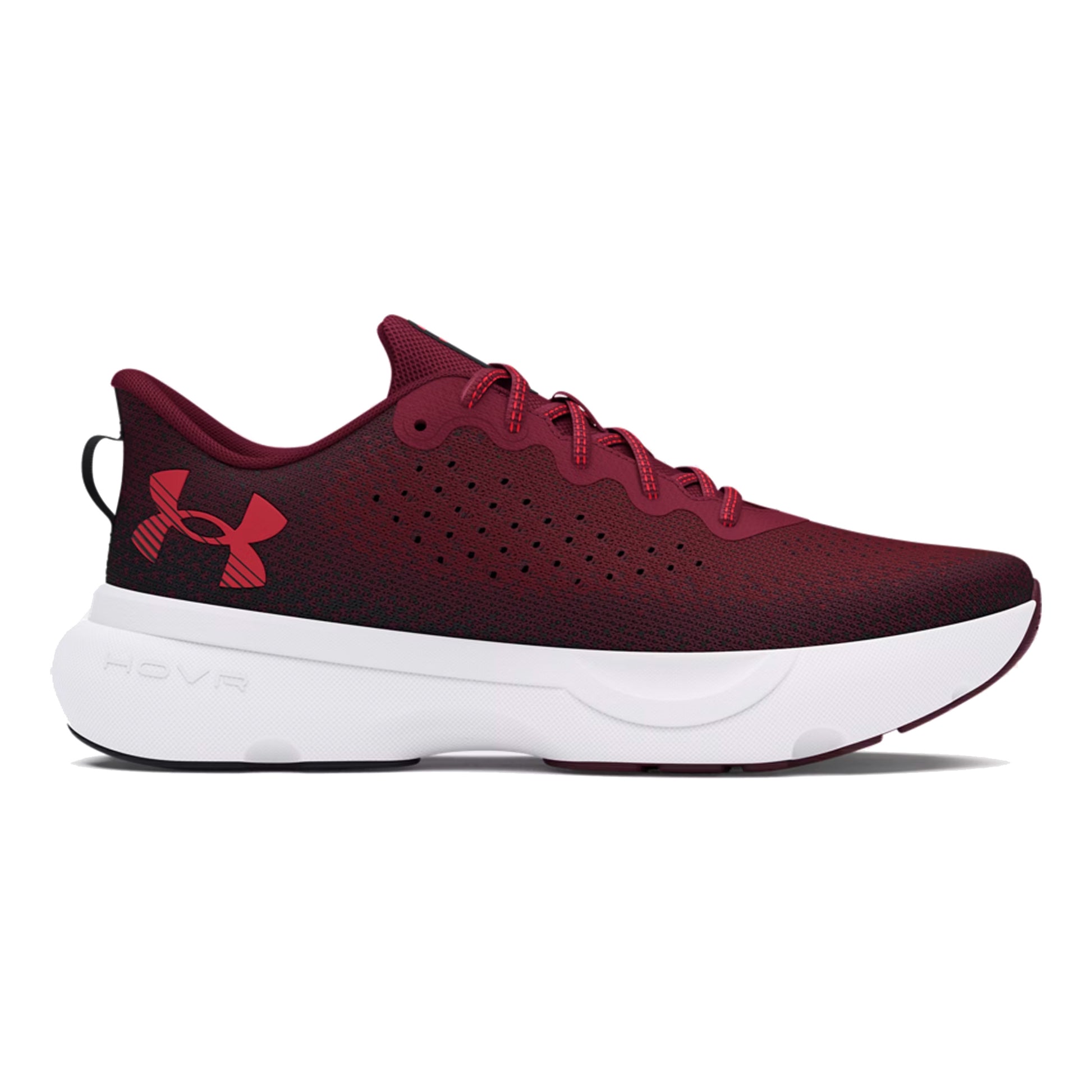 Under Armour Infinite Scarpe neutrali Uomini - rosso, nero