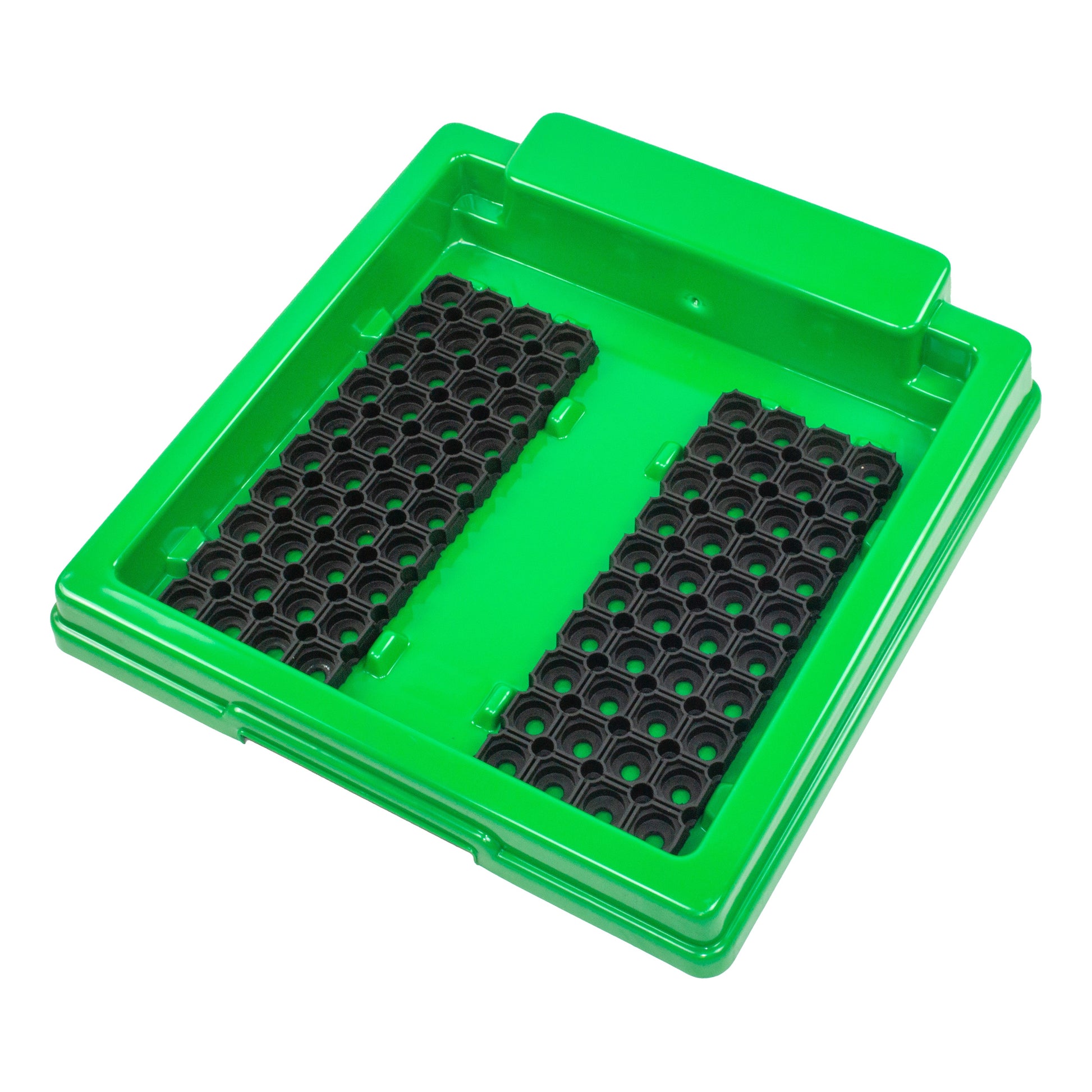 Tegra Vaschetta Per Pulire Le Scarpe-Verde,Nero