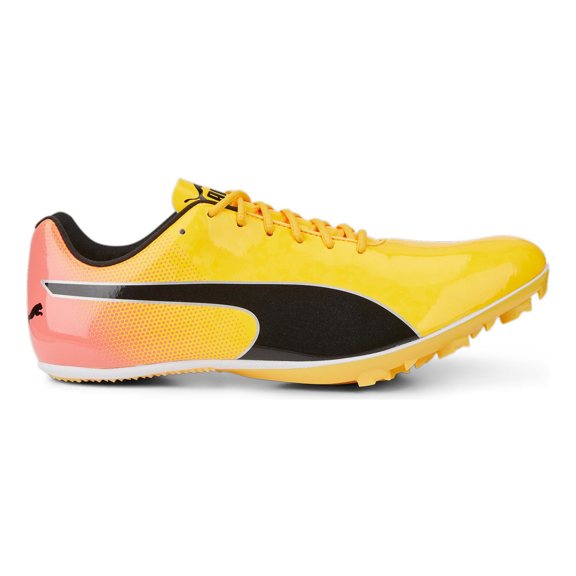 Puma EvoSPEED Sprint 14 Spikes-Giallo,Arancione