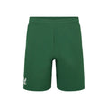 Technical Pantaloncini Uomini - verde,