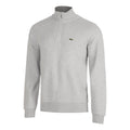 grigio chiaro_5693