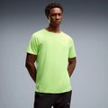 lime_8439