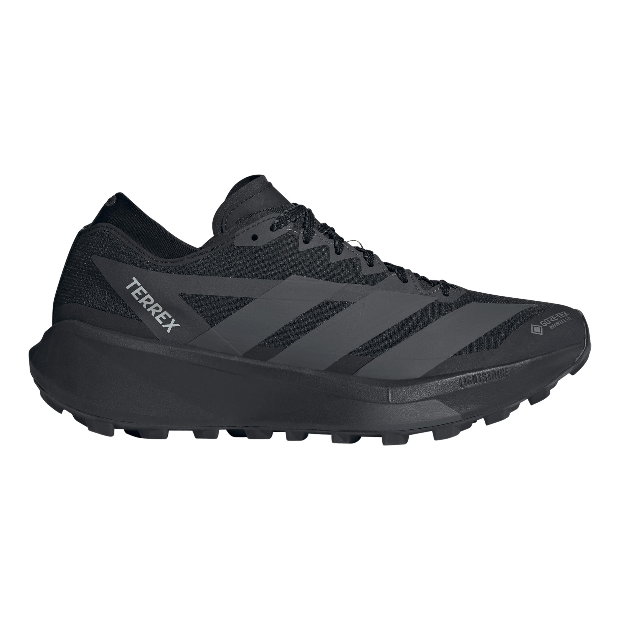 adidas Terrex Agravic GTX 2 Scarpa da trail Uomini - nero, grigio scuro