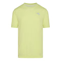 lime_8439