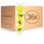 Palline Da Tennis HEAD Cs 36er Box
