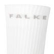 Falke