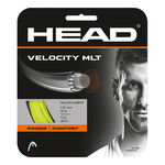 Corde Da Tennis HEAD Velocity MLT 12m natur