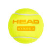 HEAD