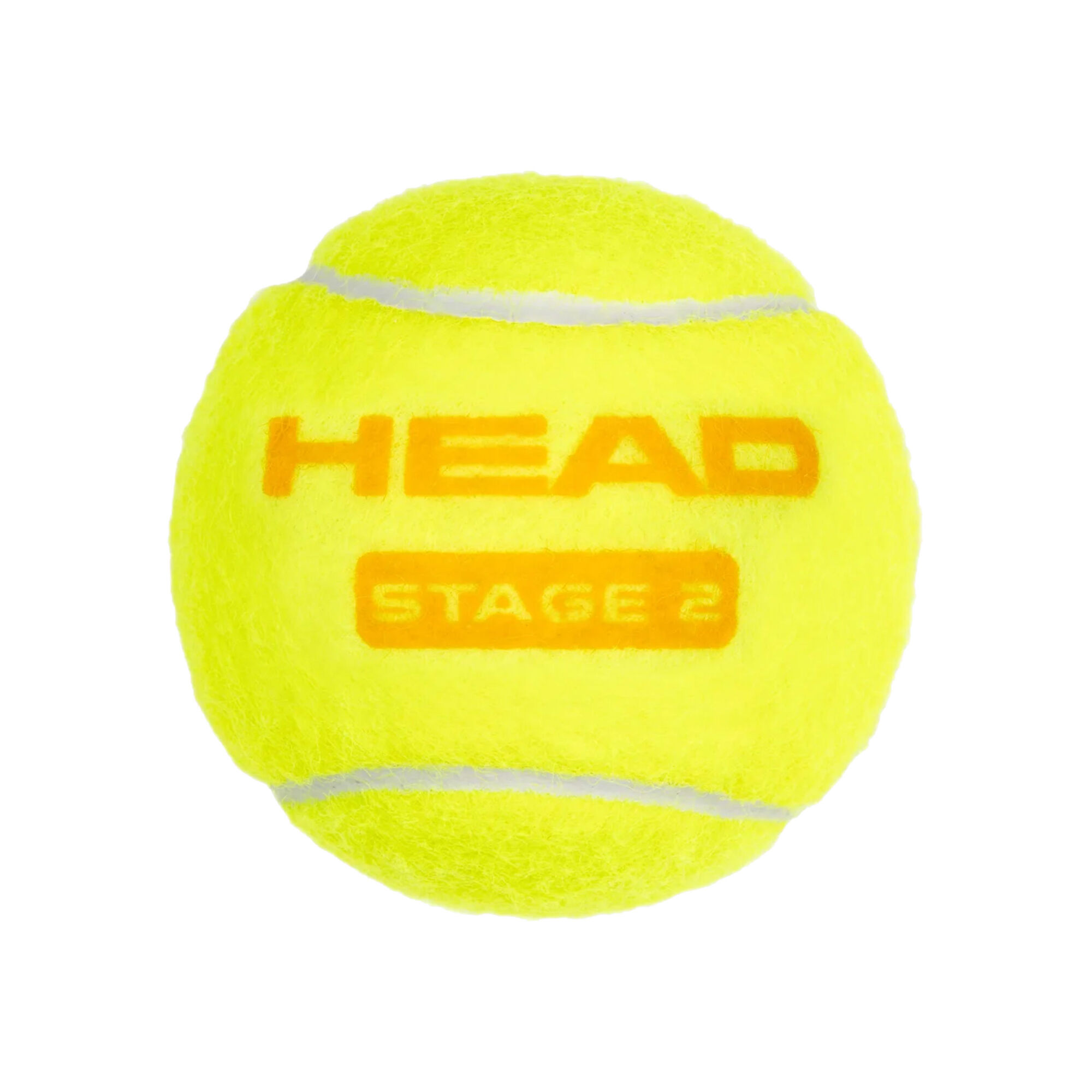HEAD
