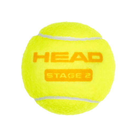 HEAD