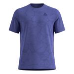 Abbigliamento Odlo Zeroweight Engineered Chill-Tec Crew Neck