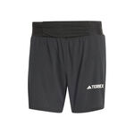 Abbigliamento adidas Terrex Pro Short