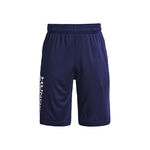 Abbigliamento Under Armour Prototype 2.0 Wdmk Shorts