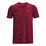 Seamless Novelty Shortsleeve