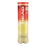 Palline da tennis HEAD HEAD Championship Tubo Da 4