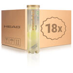 Pallina pressurizzata HEAD HEAD Tour Tubo da 4 