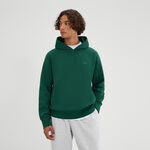 Abbigliamento Ellesse Ellesse Madone Felpa con cappuccio Uomini - verde scuro, 