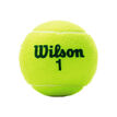 Wilson