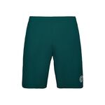Abbigliamento BIDI BADU Henry 2.0 Tech Shorts Men