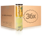 Pallina pressurizzata HEAD HEAD No.1  Tubo da 4 