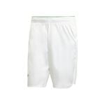 Abbigliamento adidas ERGO SHORTS PRO