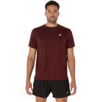 Abbigliamento ASICS Core Shortsleeve