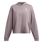 Abbigliamento Under Armour Trival Terry OS Hoody