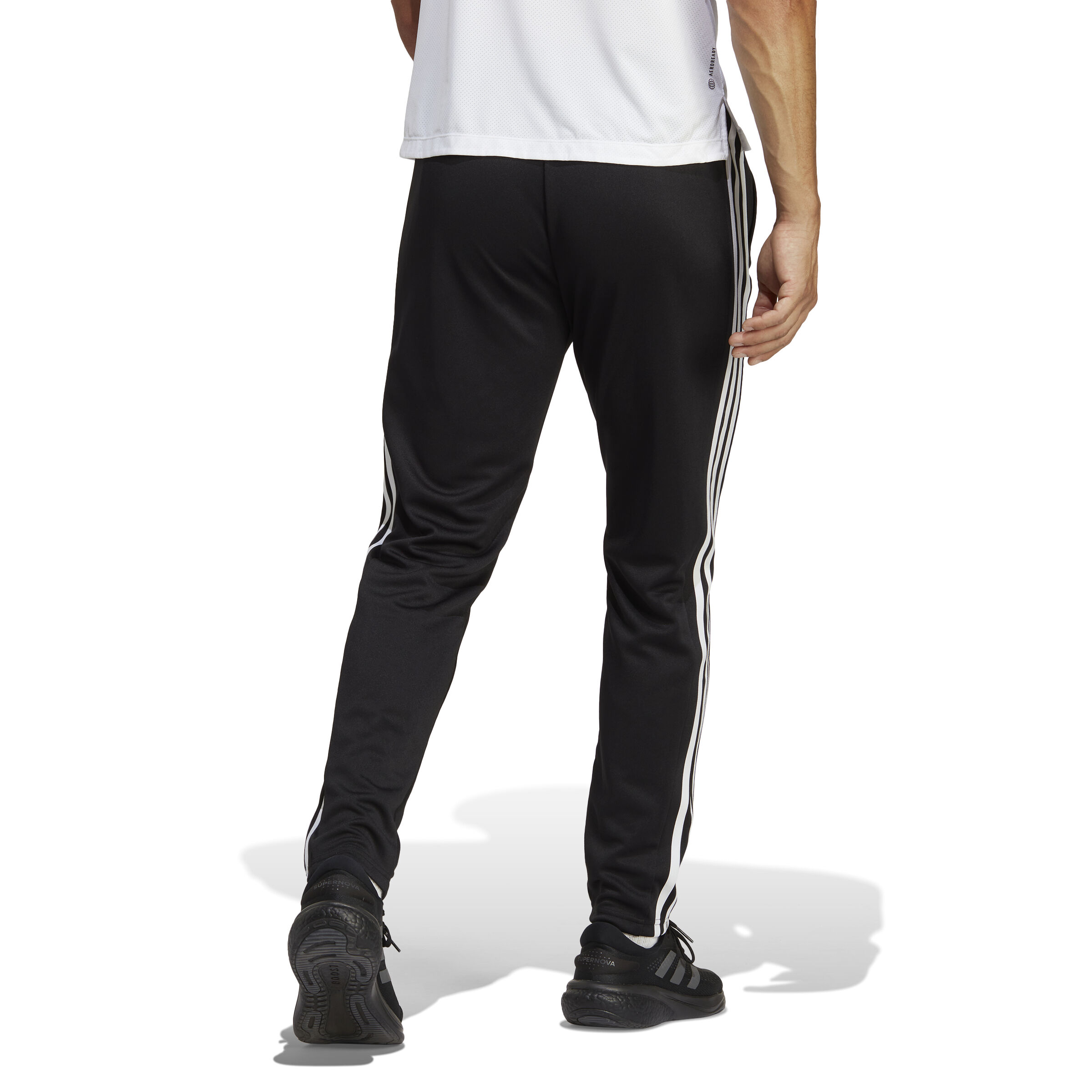 Buy adidas Training Essential Base 3 Pantalone Da Allenamento Uomini Nero Bianco online Tennis Point IT
