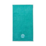 Asciugamani Christy Christy Embroidered Guest Asciugamano-Blu Scuro