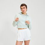 Abbigliamento Ellesse Zermatt Fz Hoodie