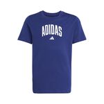Abbigliamento adidas J COLLEG T