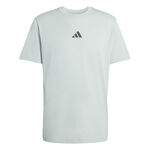 Abbigliamento da tennis adidas adidas Climacool Identitiy Graphic Maglietta Uomini-salvia