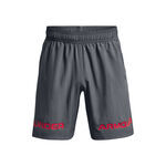 Abbigliamento Under Armour Woven Graphic WM Shorts
