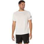 Abbigliamento ASICS Icon Shortsleeve