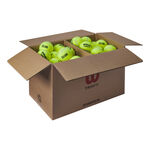 Palline Da Tennis Wilson Triniti Club 72er Ballbox
