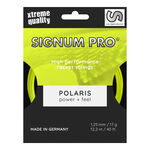 Corde Da Tennis Signum Pro POLARIS 12m