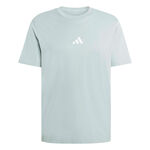 Abbigliamento adidas adidas Essentials Maglietta Uomini-salvia