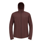 Abbigliamento Odlo Odlo X-Alp Waterproof Giacca Da Corsa Uomini-Marrone