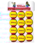 Palline Da Tennis Wilson Starter Red Balls 12er Stage 3