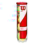 Palline da tennis Wilson Wilson Team W Practice Tubo Da 4