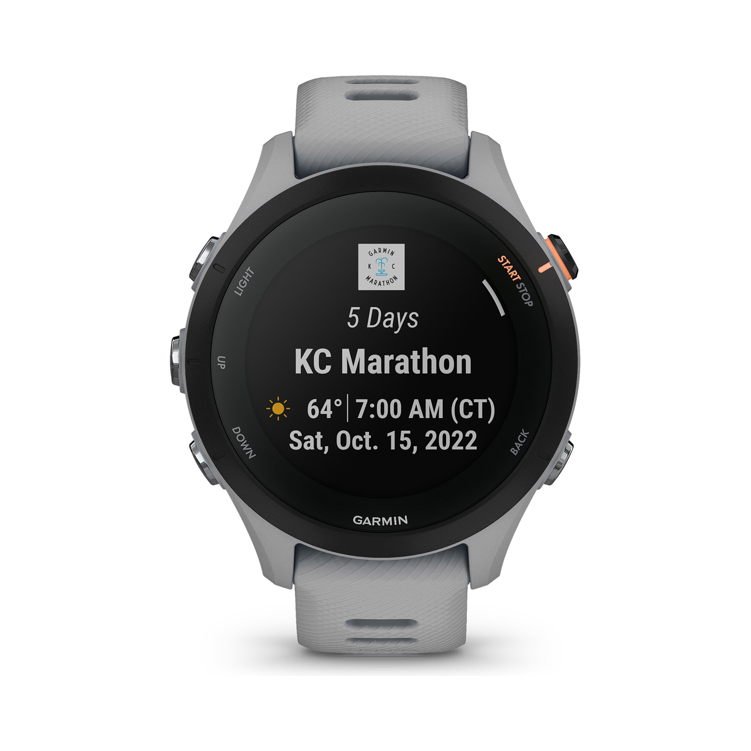 Buy Garmin Forerunner 255 S Orologio Da Polso Grigio online