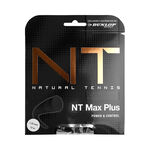 Corde Da Tennis Dunlop NT Max Plus 12m anthrazit