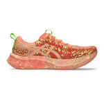 Scarpe Da Corsa ASICS Noosa Tri 16