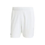 Abbigliamento adidas ERGO SHORT PRO
