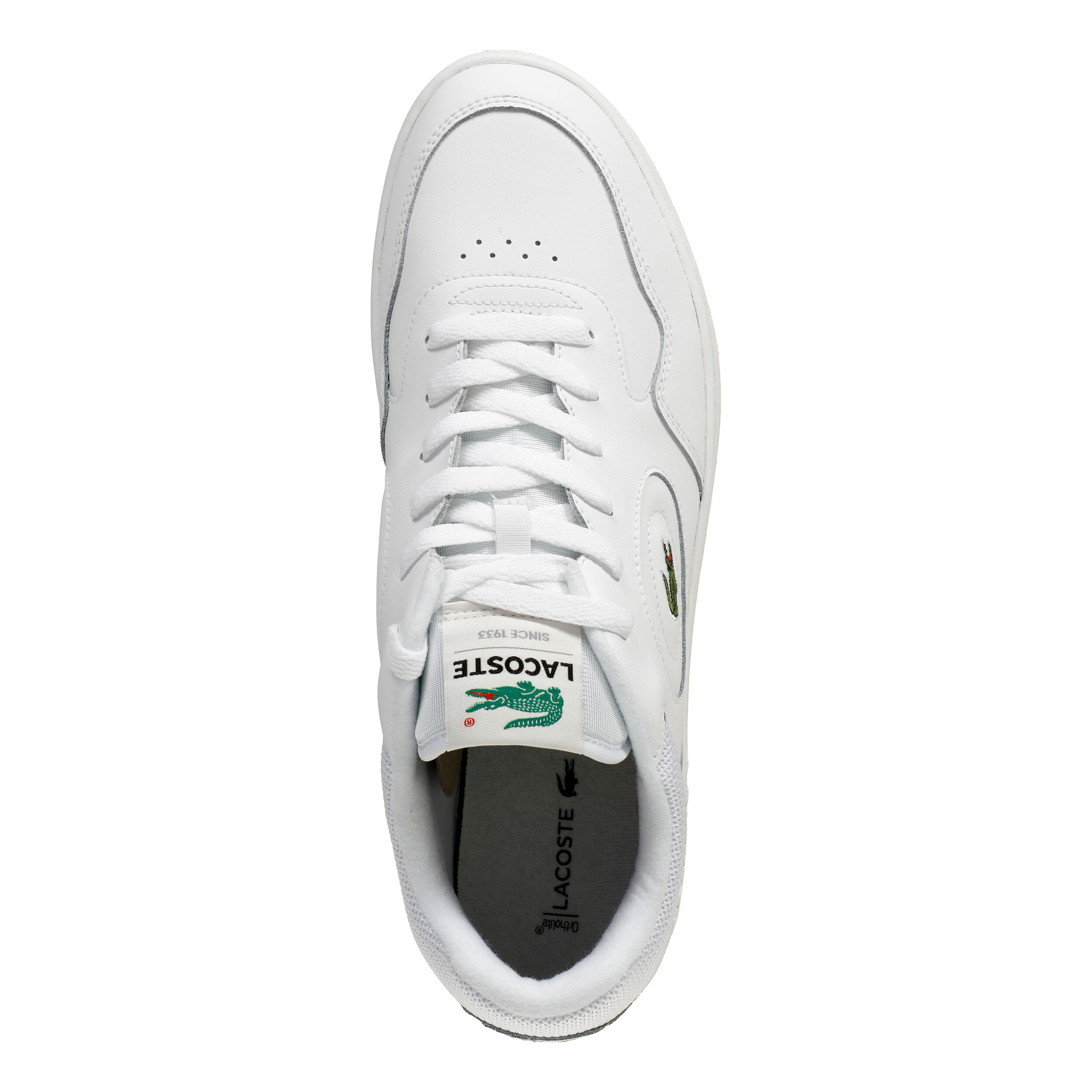 Misure scarpe lacoste clearance