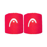 Abbigliamento HEAD Wristband 2.5