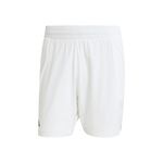 Abbigliamento adidas ERGO SHORTS
